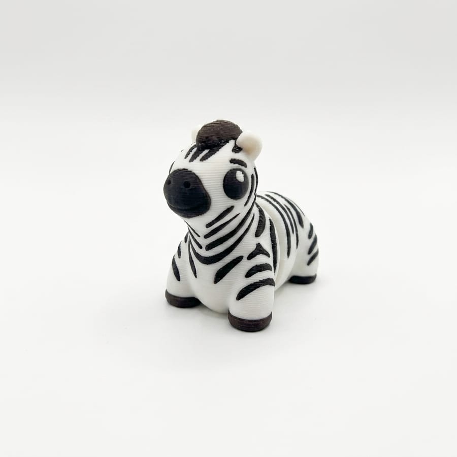 Zebra Flexi Mini — photo 5