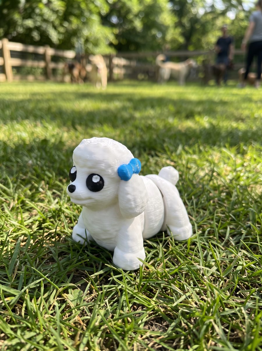 Flexi Mini Poodle