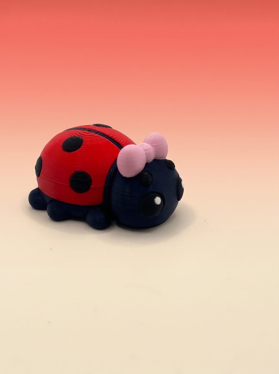 Flexi Mini Ladybug