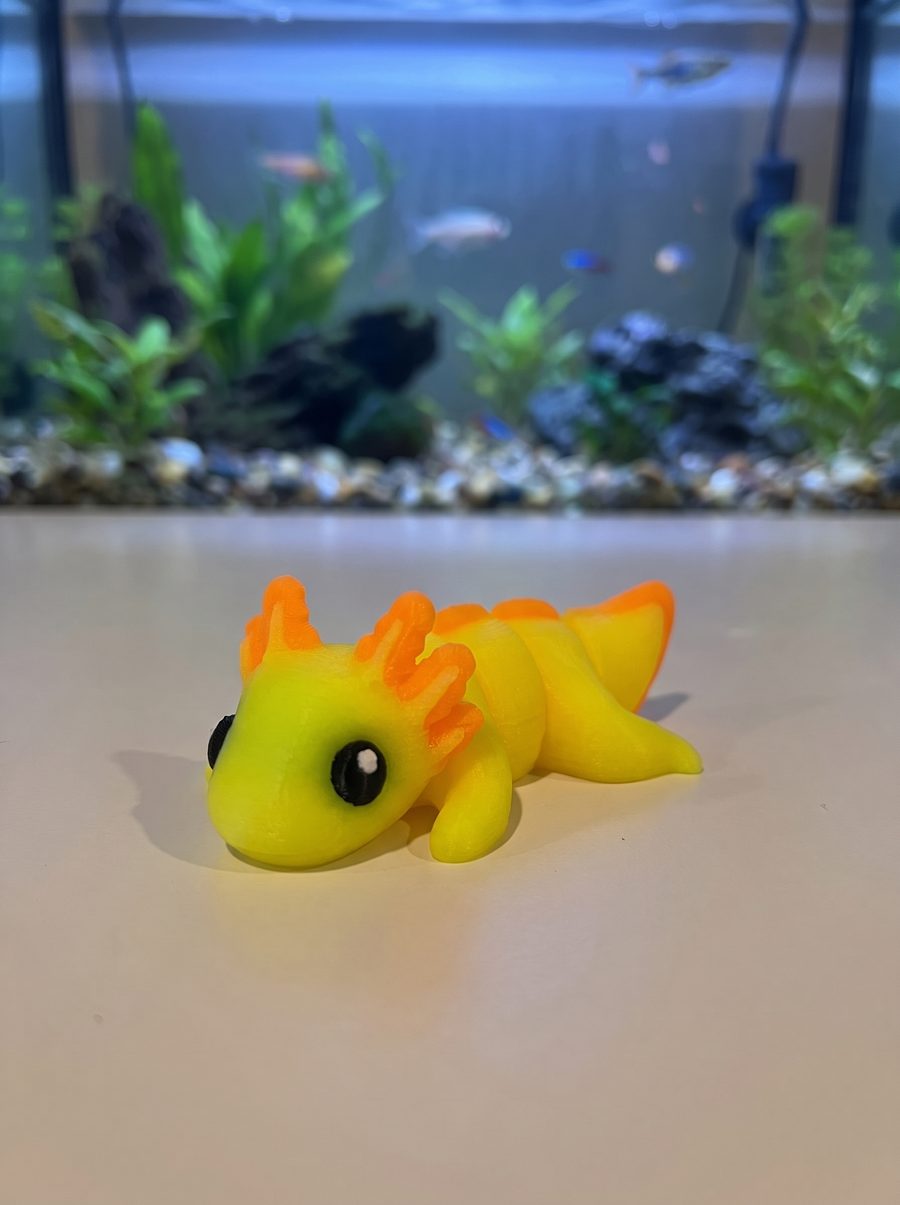 Blue Axolotl Flexi Mini 3D Printed Articulated Fidget Toy Collectible Desk Accessory — photo 7